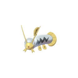 #339 Barboach